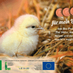 ©Herbert Lugitsch u. Söhne Ges.mbh.
