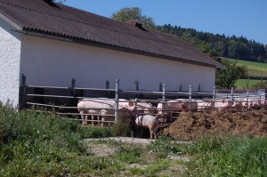 Foto: © BIO AUSTRIA/Wlcek