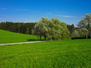 Foto: © BIO AUSTRIA/Golser