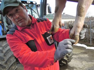 Foto: © BIO AUSTRIA/Wlcek