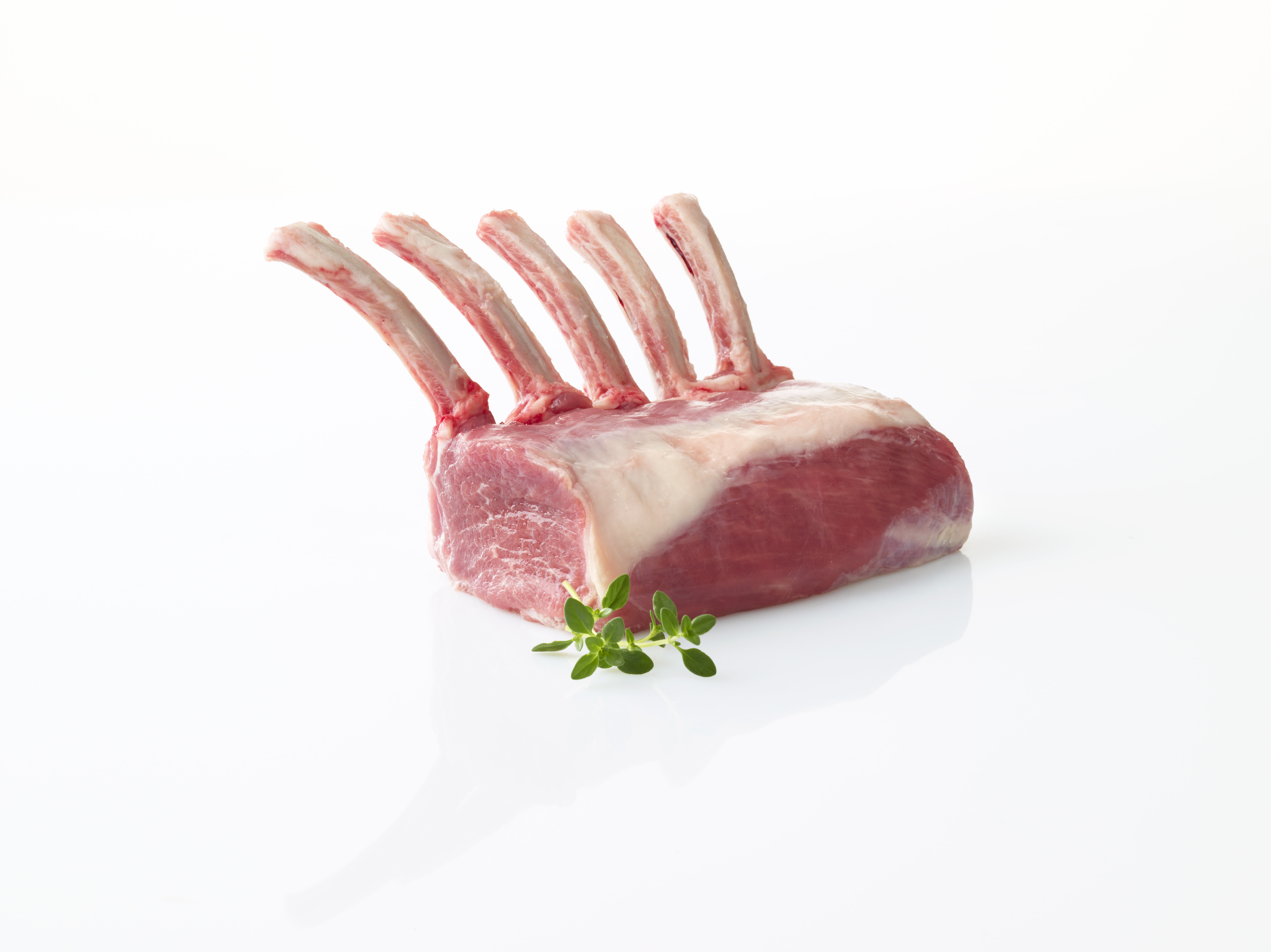gesünder als Rindfleisch ist Ziegenfleisch gesünder als Rindfleisch ist Ziegenfleisch
