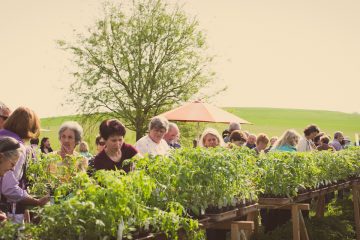 Pflanzmarkt