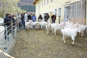 Foto: © BIO AUSTRIA/Edler