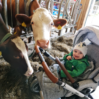 © Wind Kuh, Kinderwagen