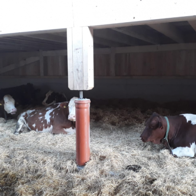 © Wind Rinder Stall