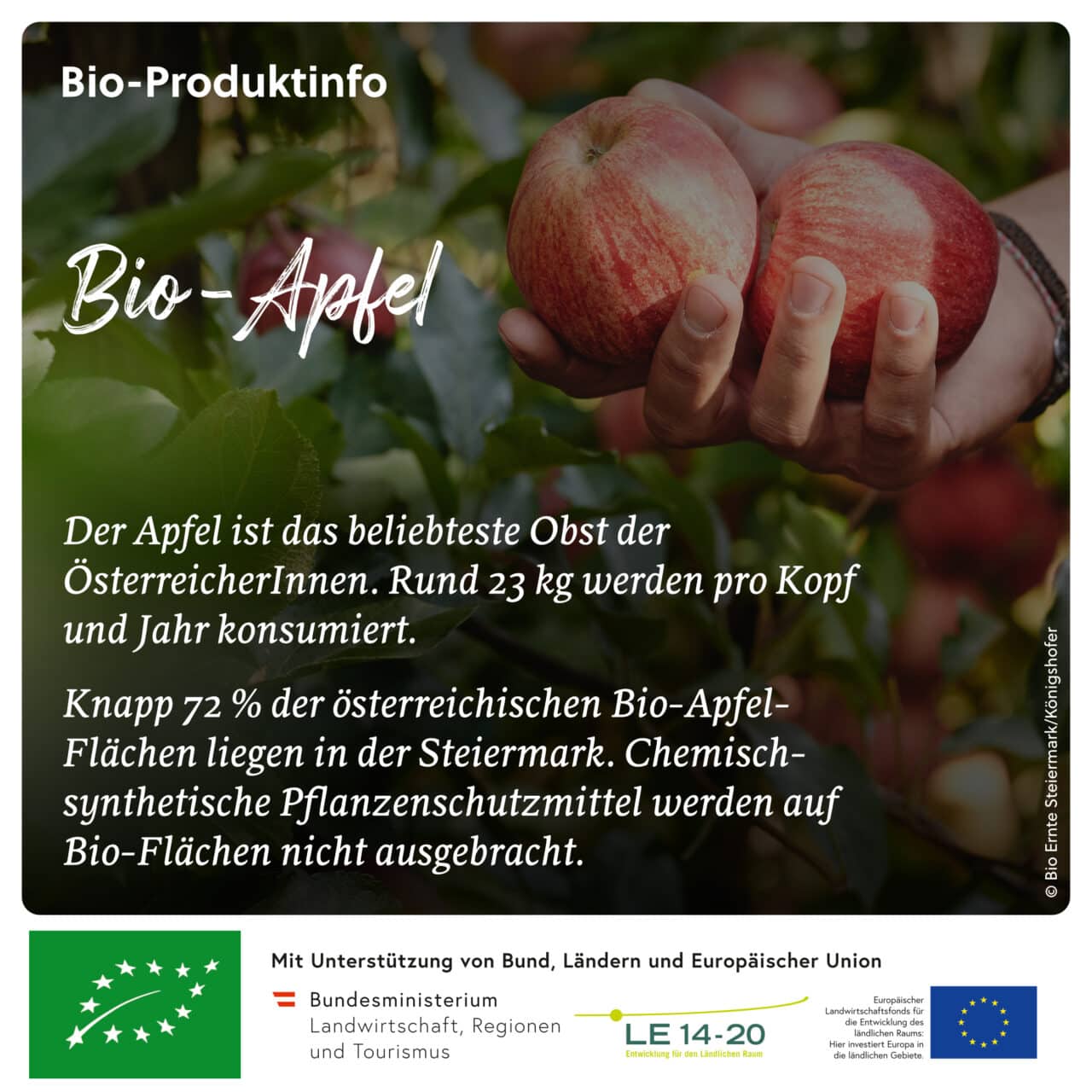 Kennenlernen mit geschmack facebook