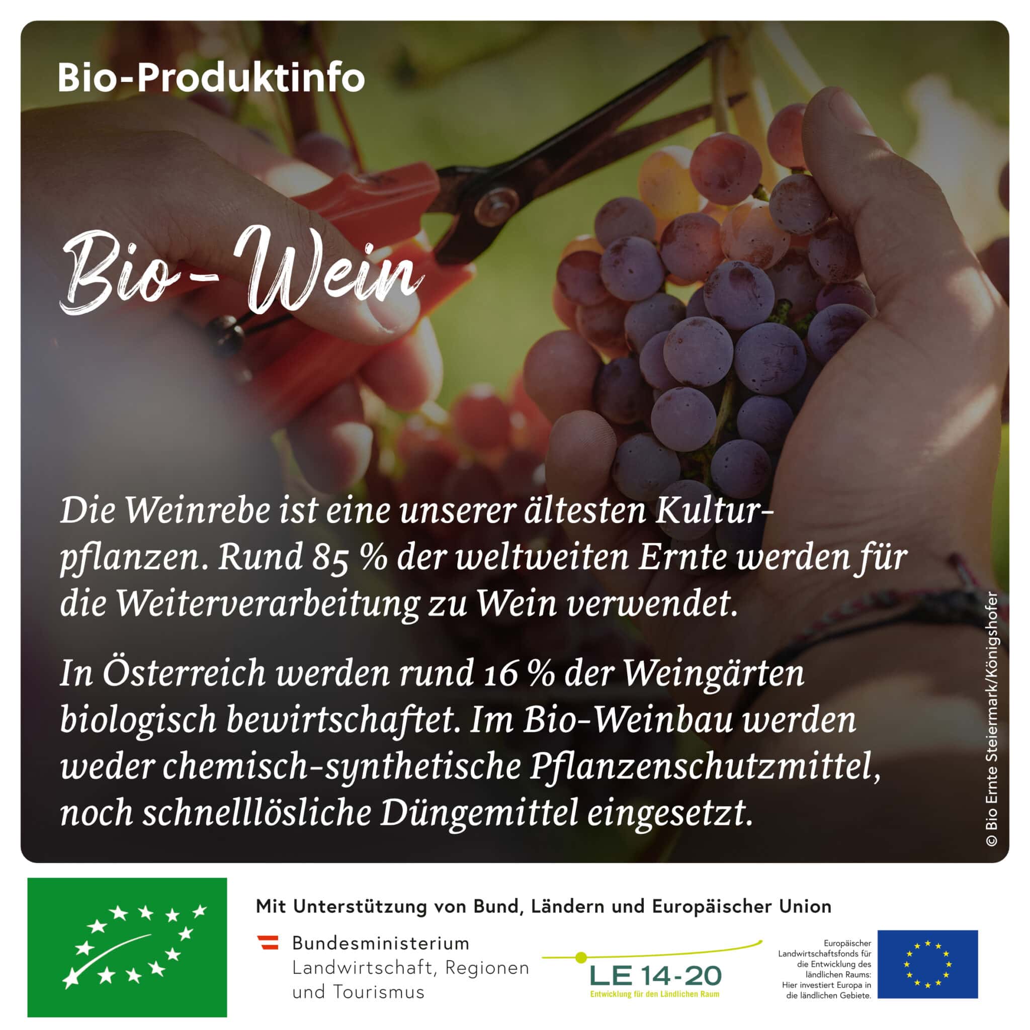 Kennenlernen mit geschmack facebook