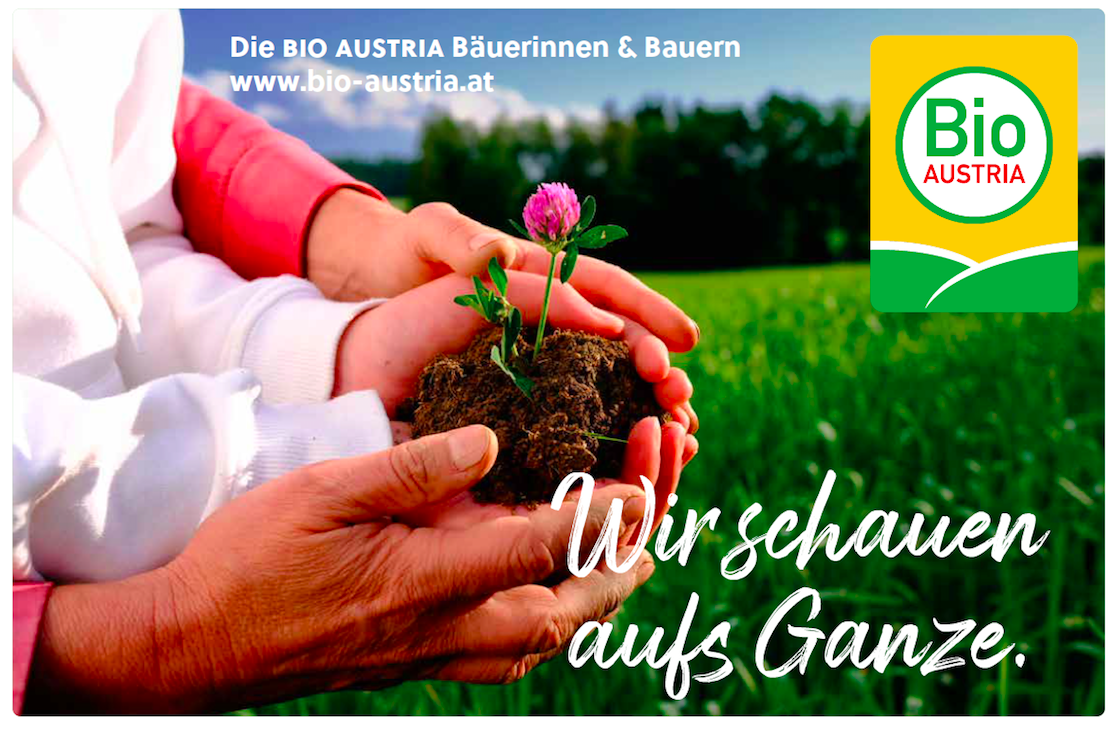 Hände haten fruchtbare Erde