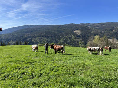 Alm Biohof Maritsch