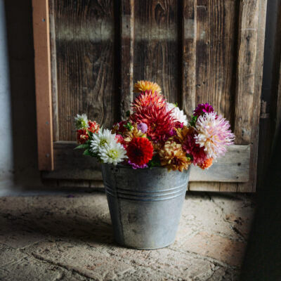 © Slowfood/Mara Hohla Eimer mit Dahlien