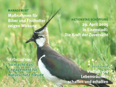 Deckblatt Zeitschrift Natur und Umwelt 1/2025