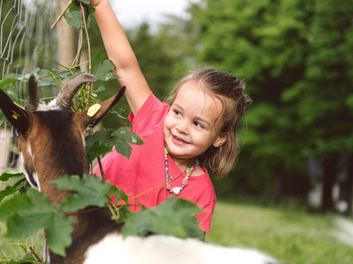 Kleines Kind mit Ziege im Grünen