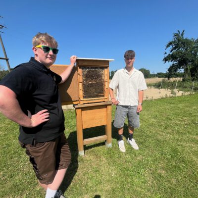 Bienen Biofest Güssing