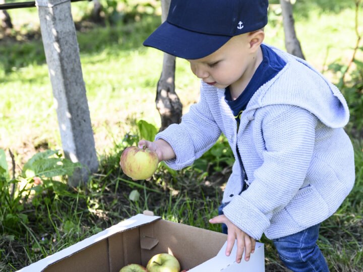 Kind mit Bio-Apfel