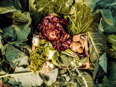 © BIO AUSTRIA / Julia Mühlberger