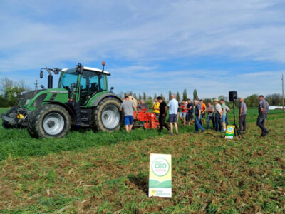Traktor am Feld