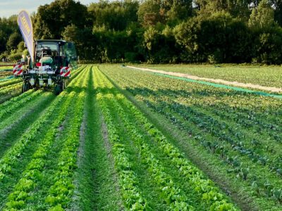 Feld mit Traktor