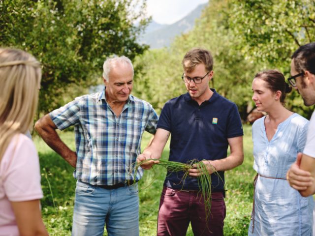 Personen bei Bio-Beratung im Grünland