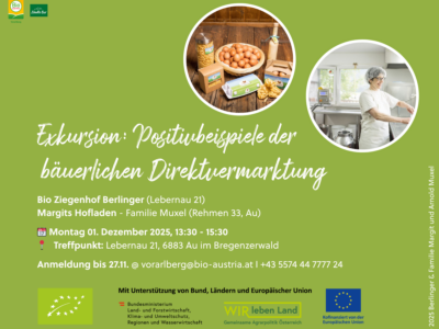 Einladungsflyer