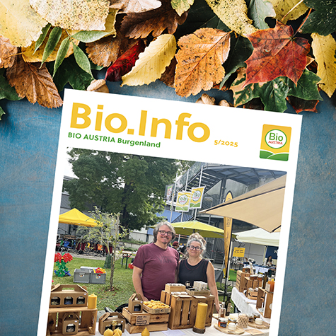 Kachel Bio.Info 5/2025