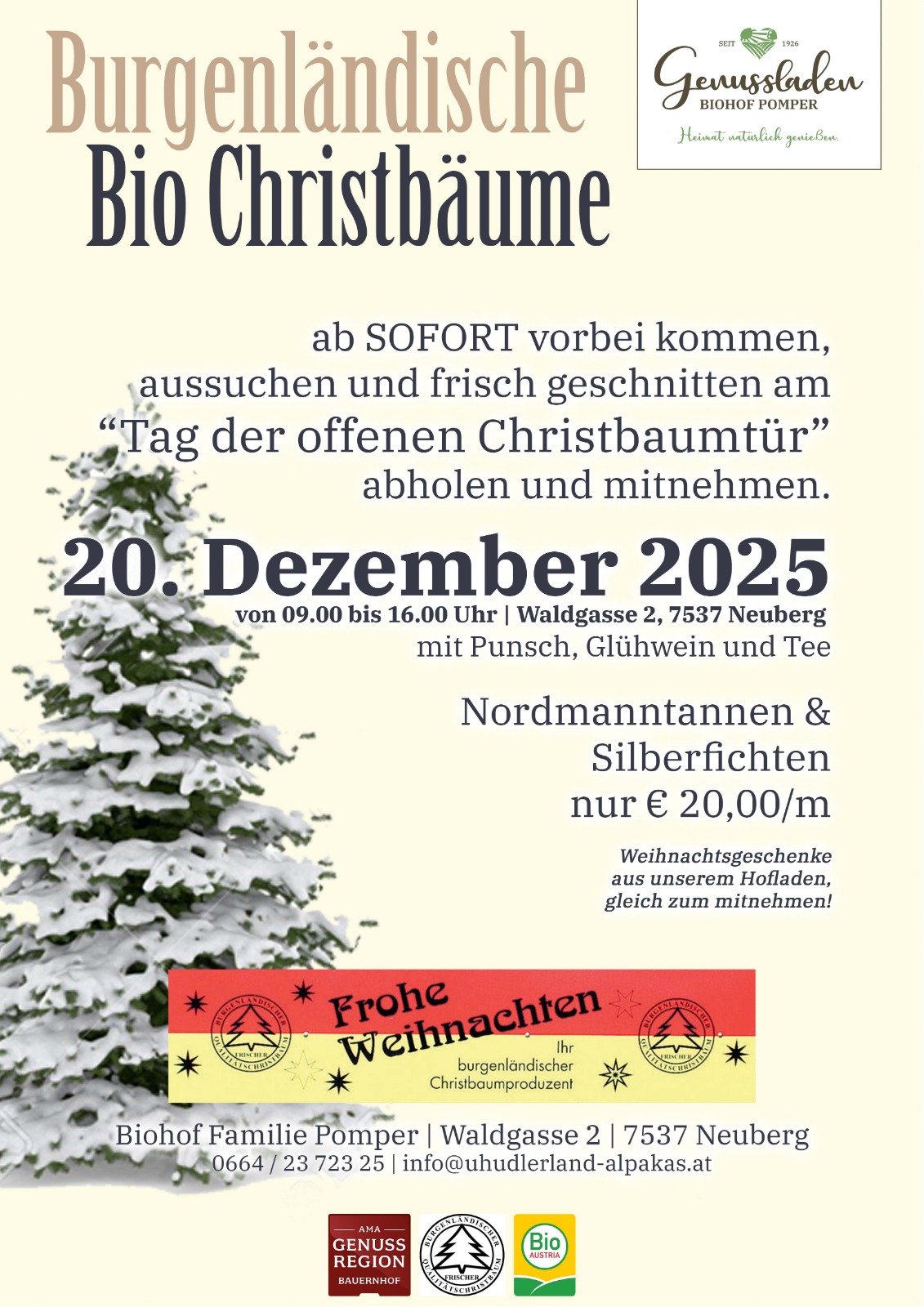 Flyer Tag der offenen Christbaumtür 2025