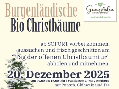 Beitragsbild Termin Tag der offenen Christbaumtür 2025