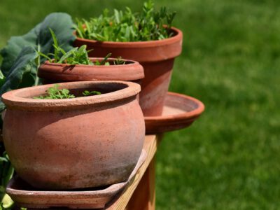 Blumentöpfe aus Ton