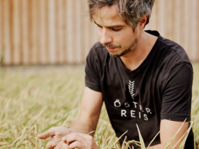 Mann in Reisfeld in Österreich