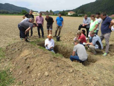 Bodenpraktikergruppe bei der ökosystemaren Bodenansprache