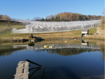 Bewässerungssee am Feld