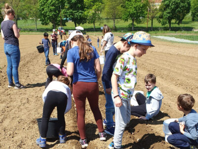 Kinder auf Kartoffelfeld