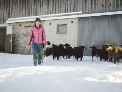 Biobäuerin mit Schafen im Winter
