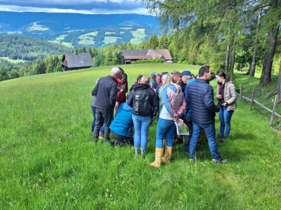 Beratungssituation mit Personen auf Wiese