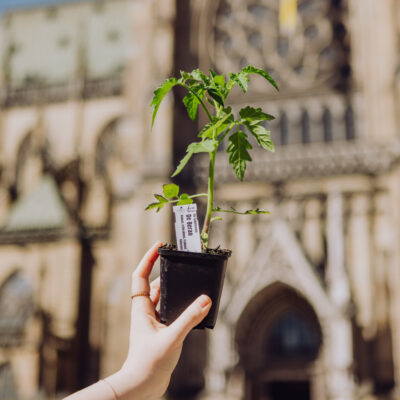 © BIO AUSTRIA/Julia Mühlberger
