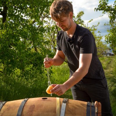 © BIO AUSTRIA Steiermark Essig im Holzfass