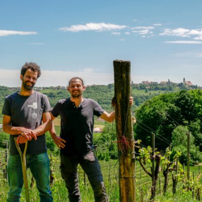 © BIO AUSTRIA Steiermark Weinbauern vor Weinreben