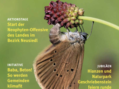Natur und Umwelt Ausgabe Sommer 2026