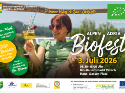dunkelhaarige Frau mit Cocktail auf Liegestuhl blauer Himmel Hintergrund