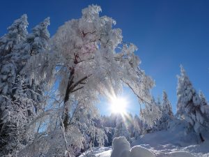 Winterlandschaft