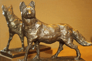 BIO AUSTRIA Fuchs