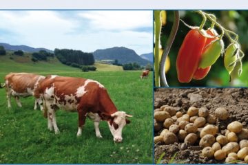 Betriebsmittelkatalog 2017