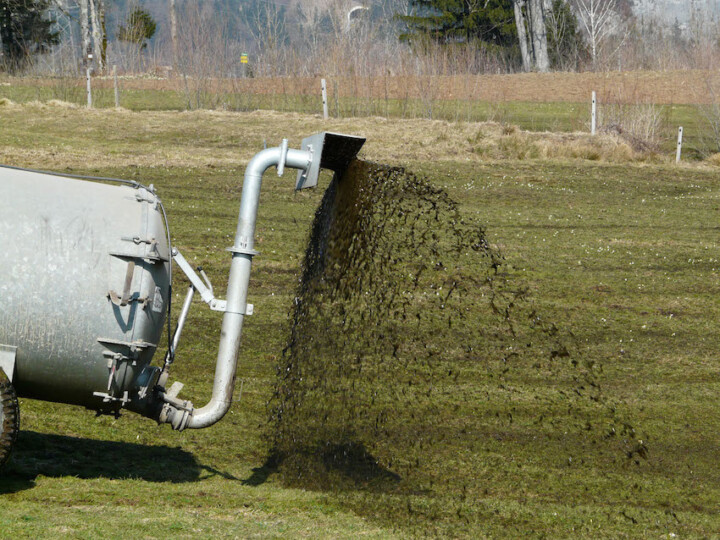 Güllefass und Gülle
