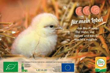 Plakat Der Hahn, die Henne und das Ei