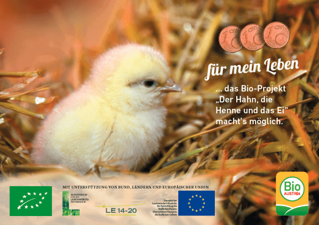 Plakat Der Hahn, die Henne und das Ei
