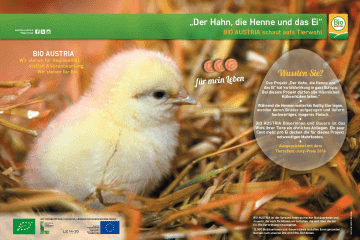 Plakat Der Hahn, die Henne und das Ei