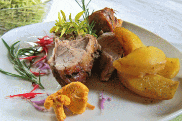 schön dekorierte Bio-Mahlzeit mit saisonalen Bio-Lebensmitteln