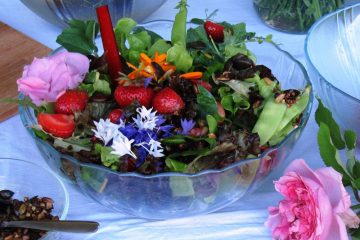 Bunter Blattsalat mit Erdbeeren