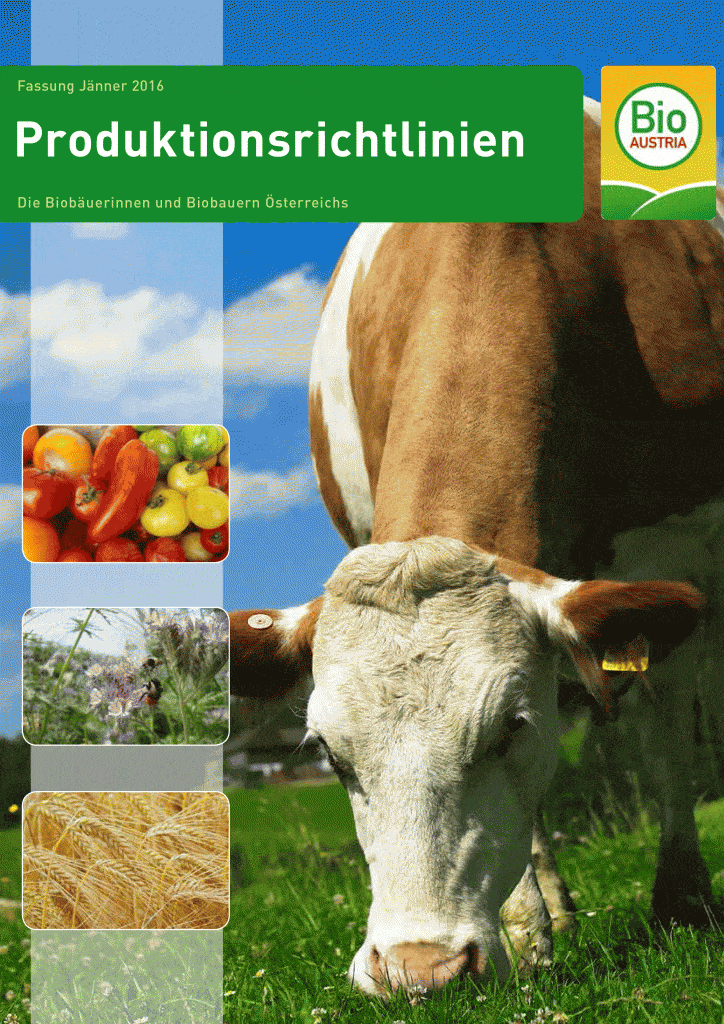 Cover Richtlinienheft