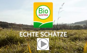 Slider für das Video Echte Schätze