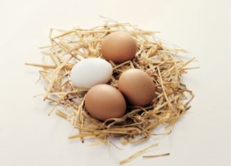 Eier mit Stroh